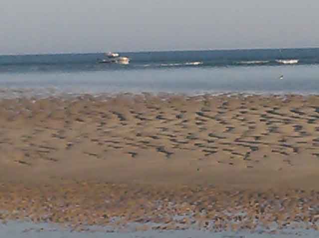 Armona-Tavira-03