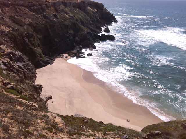 Cap8-Burdo