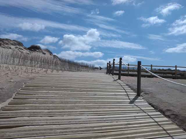 Cap8-Malhao
