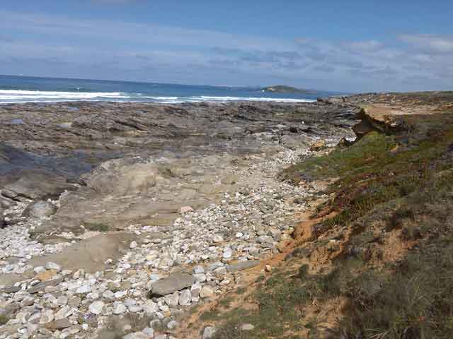 Cap8-Queimado